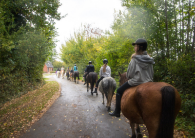 Reiterferien auf dem Ponyhof Naeve