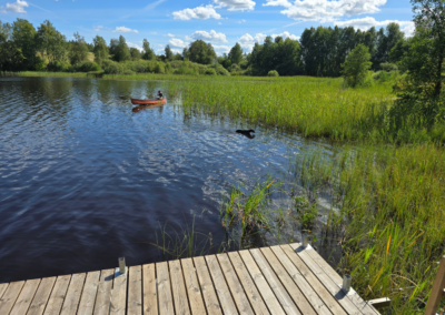 Sommerfeeling in Schweden